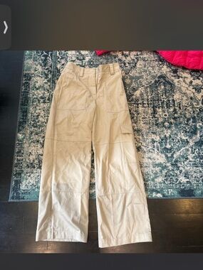 NWOT DISSH CARGO PANTS